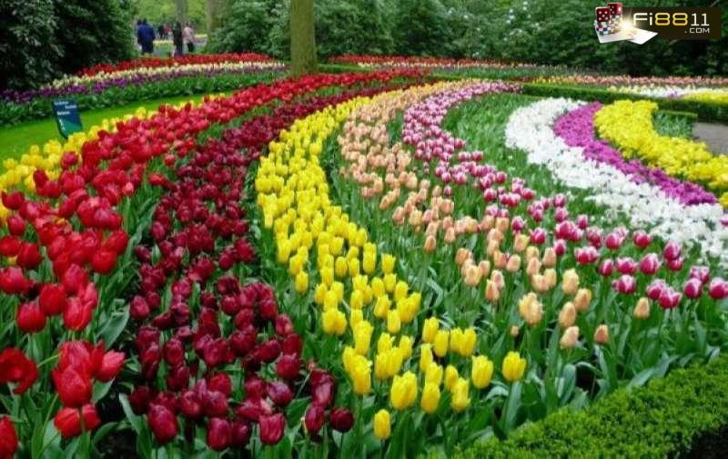 Những con số của top 20+ giấc mơ sự vật thường gặp nên biết Nhung Con So Cua Top 20 Giac Mo Su Vat Thuong Gap Nen Biet 1676517311 (1)