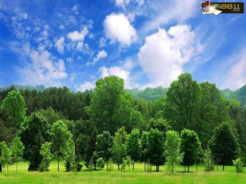 Những con số của top 20+ giấc mơ sự vật thường gặp nên biết Nhung Con So Cua Top 20 Giac Mo Su Vat Thuong Gap Nen Biet 1676517339 (1)