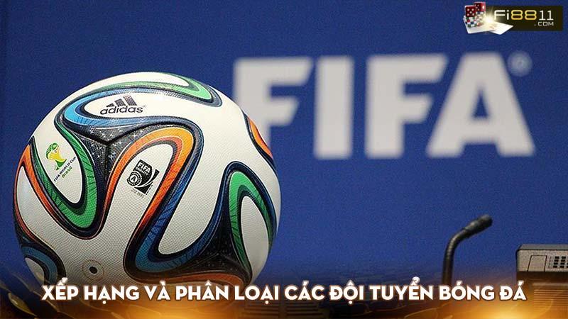 FIFA là viết tắt của từ gì? Những thách thức trong tương lai của Fifa Xếp hạng và phân loại các đội tuyển bóng đá